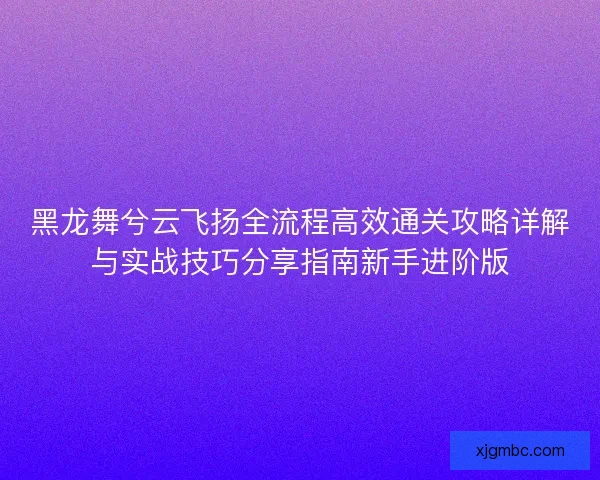 黑龙舞兮云飞扬全流程高效通关攻略详解与实战技巧分享指南新手进阶版