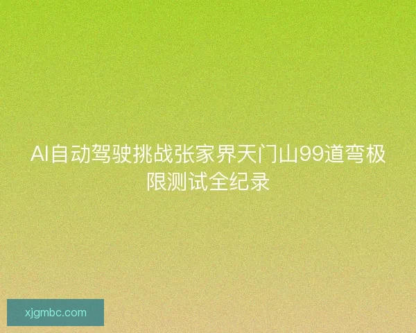 AI自动驾驶挑战张家界天门山99道弯极限测试全纪录