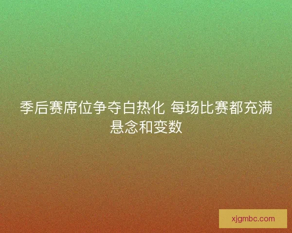 季后赛席位争夺白热化 每场比赛都充满悬念和变数